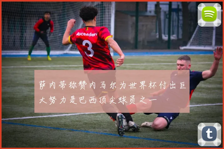 萨内蒂称赞内马尔为世界杯付出巨大努力是巴西顶尖球员之一