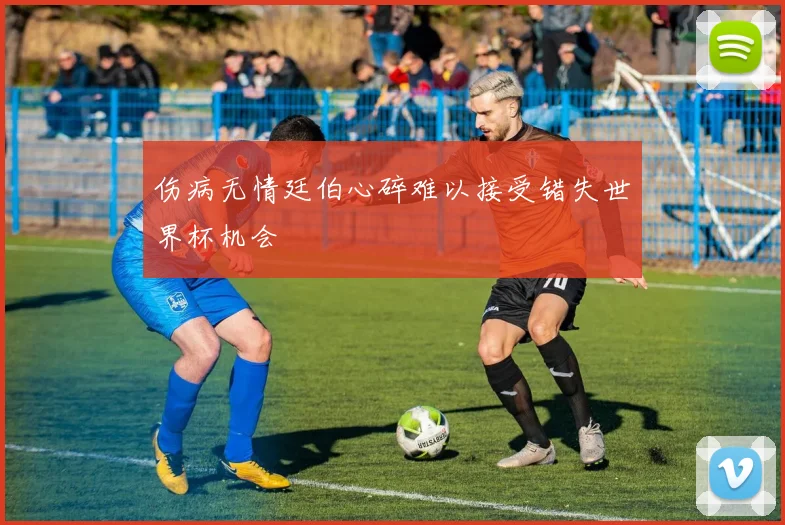 伤病无情廷伯心碎难以接受错失世界杯机会