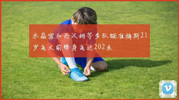 水晶宫和西汉姆等多队瞄准梅斯21岁高大前锋身高达202米