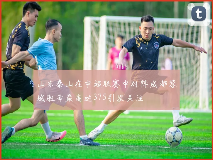 山东泰山在中超联赛中对阵成都蓉城胜率最高达375引发关注